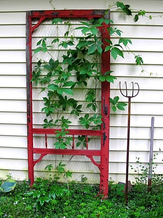 A trellis made out of an old screendoor leans against the side of a house next to a vintage pitchfork. Greenery is growing up the trellis.